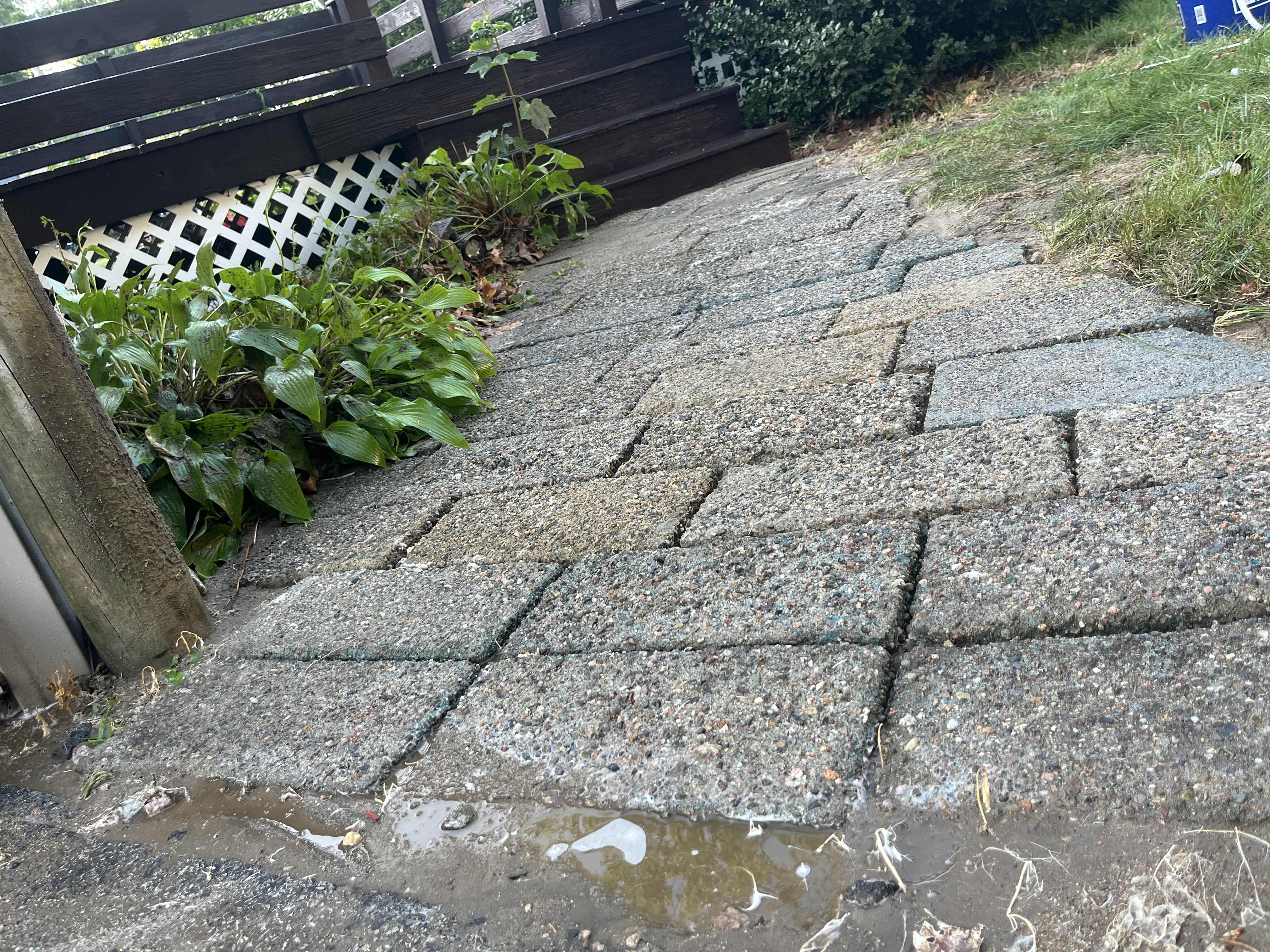 Cleaned concrete walkway, after photo