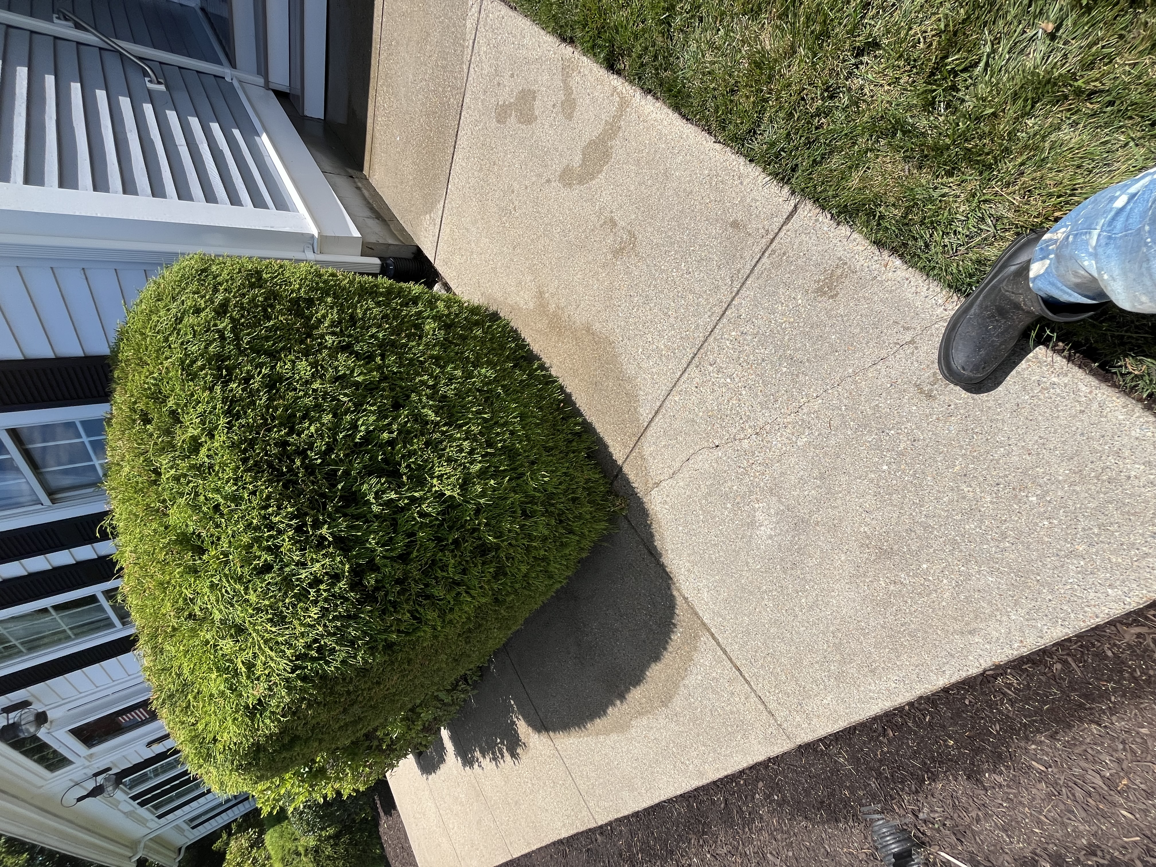 Freshly cleaned walkway, after photo